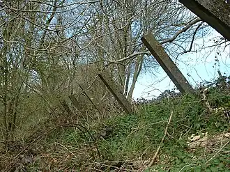 Anti-tank posts each about 8 inches (20&nbsp;cm) square and projecting about 6 feet (1.8&nbsp;m), made from reinforced concrete, at the top of the eastern side of a steep railway cutting. They were intended to stop enemy tanks climbing the steep side of the cutting.