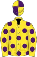 YELLOW, purple spots, quartered cap