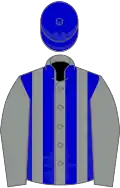 Grey, blue stripes on body, blue cap