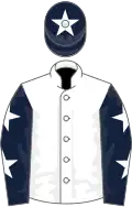 White, dark blue sleeves, white stars, dark blue cap, white star