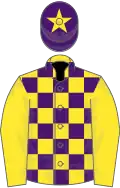 Yellow and purple check, yellow sleeves, purple cap, yellow star