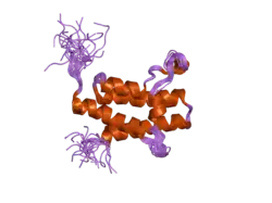 2dat: Solution structure of the Bromodomain of human SWI/SNF related matrix associated actin dependent regulator of cromatin subfamily A member 2