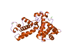 2i53: Crystal structure of Cyclin K