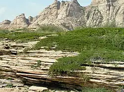 Horizontal joints in the sedimentary rocks of the foreground and a more varied set of joints in the granitic rocks in the background. Image from the Kazakh Uplands in Balkhash District, Kazakhstan.
