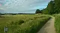 The graveled hiking trail south of Årslev Engsø.