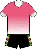 Pink Panthers (2021-present)