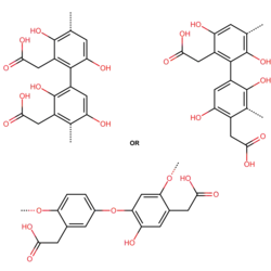 Differents forms of possible polymerization of HGA into pyomelanin