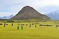 A view of a cricket match in the meadows.