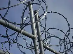 Long barb razor wire on a fence. At the bottom there is some barbed wire.