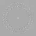Pinna-Brelstaff illusion: the two circles seem to move when the viewer's head is moving forwards and backwards while looking at the black dot.[47]