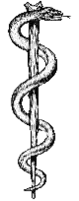 The classical Rod of Aesculapius as a symbol of human medicine.