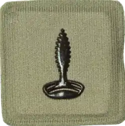 Chaplain Hindu Rank Insignia