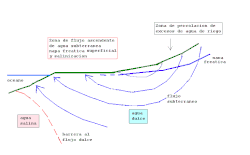 Soil salinization in a coastal delta from irrigation higher up