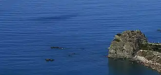 Coreca Reefs