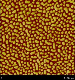 Kuraray's Septon 4055 under atomic force microscope