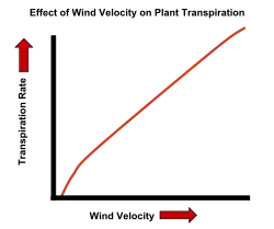 The effect of wind velocity on the transpiration rate of plants.