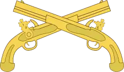 Branch Insignia