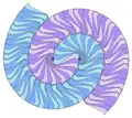 The Voderberg tiling, a spiral, monohedral tiling made of enneagons