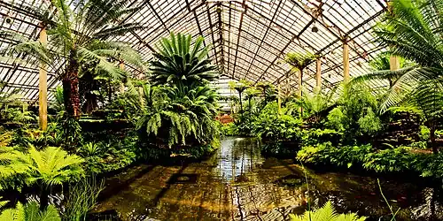 Inside the conservatory.