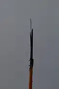 Damage on tip